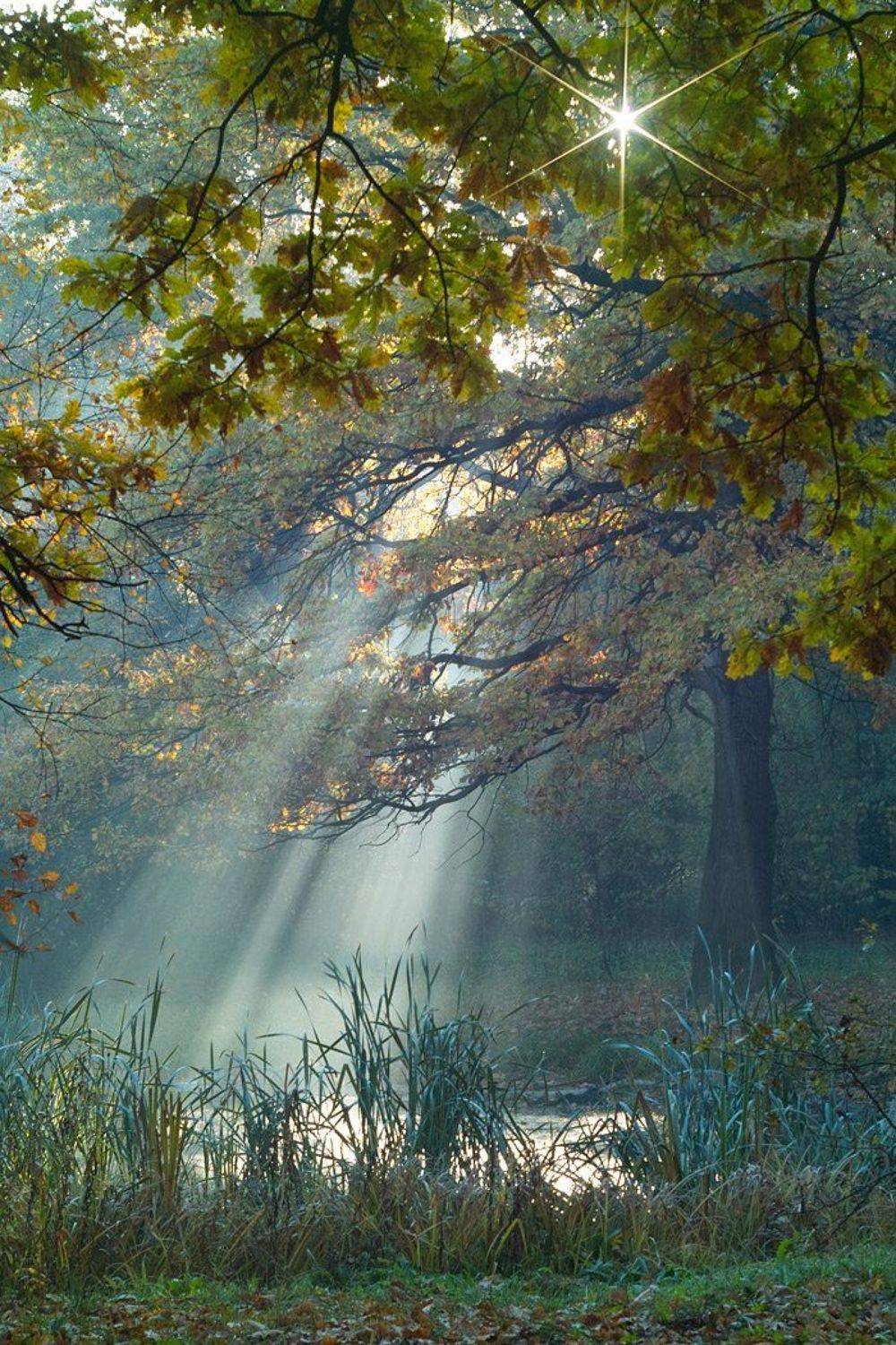 , Вадим Казаков