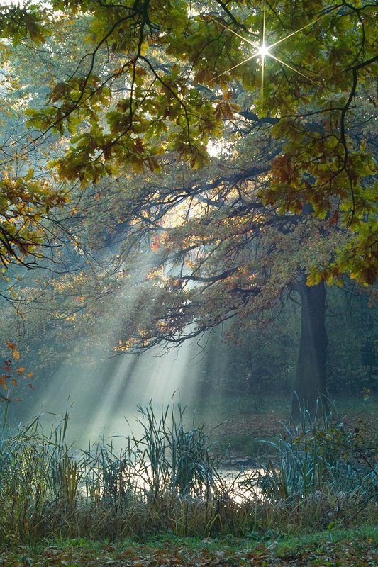 **** фото превью