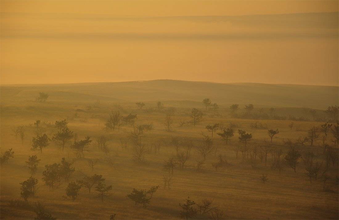 , Денис Бодров