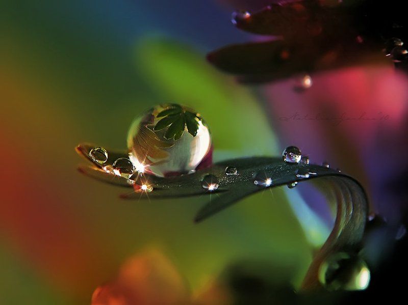 drop, water, air, капля, вода, воздух, natalia, jeshoa art-macro Вселенная на ладони фото превью