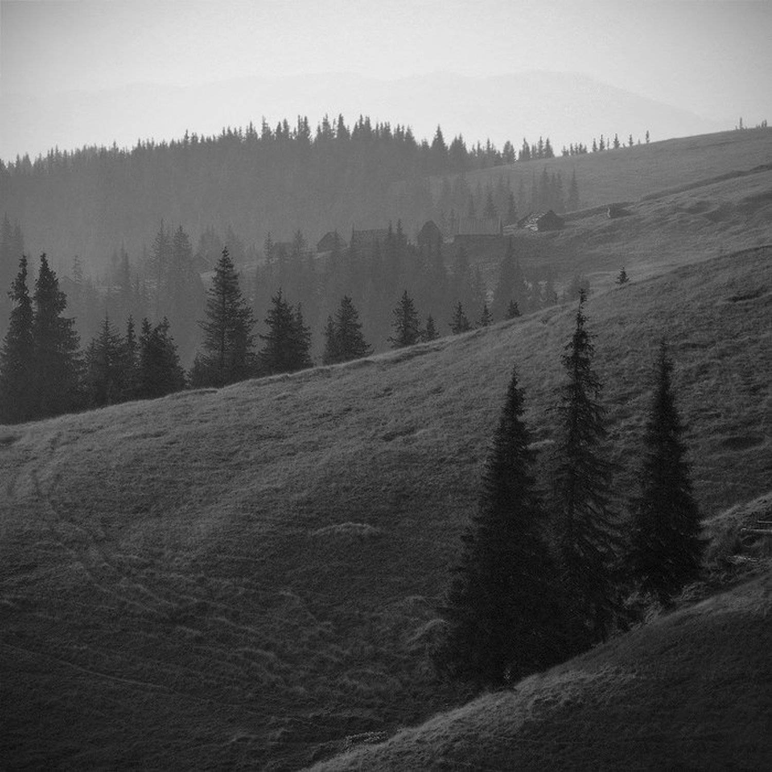 карпаты, природа, пейзаж, лето, чб, панорама, горы, Piligrim