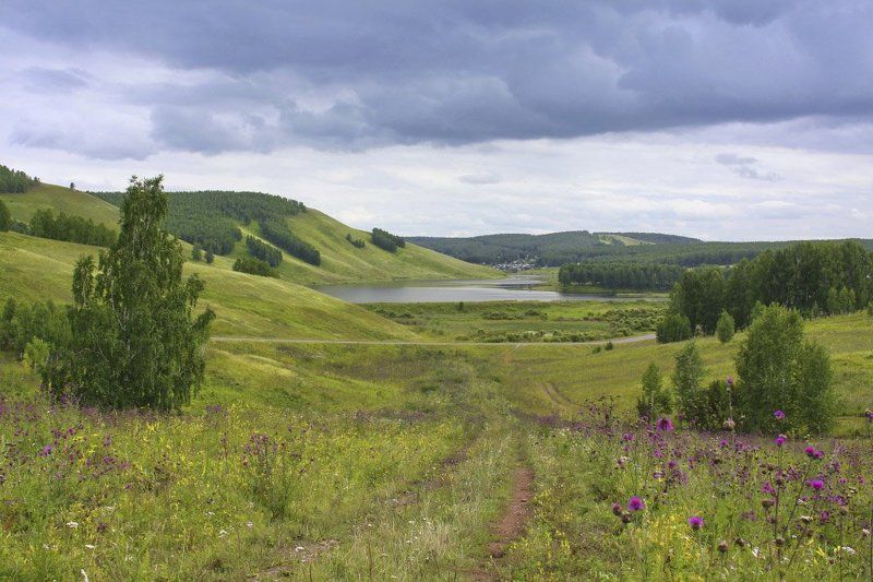 AVGUST фото превью