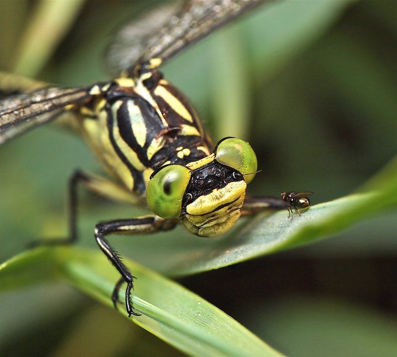уличные разборки... фото превью