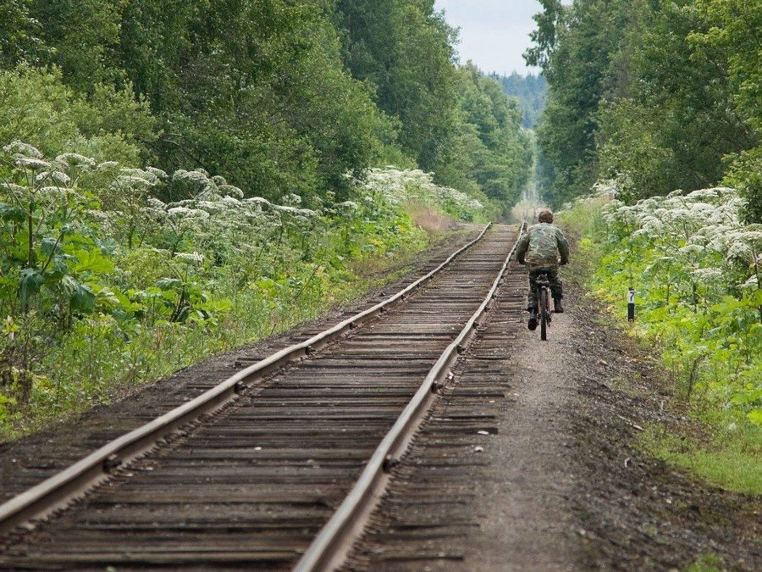, Александр Виноградов