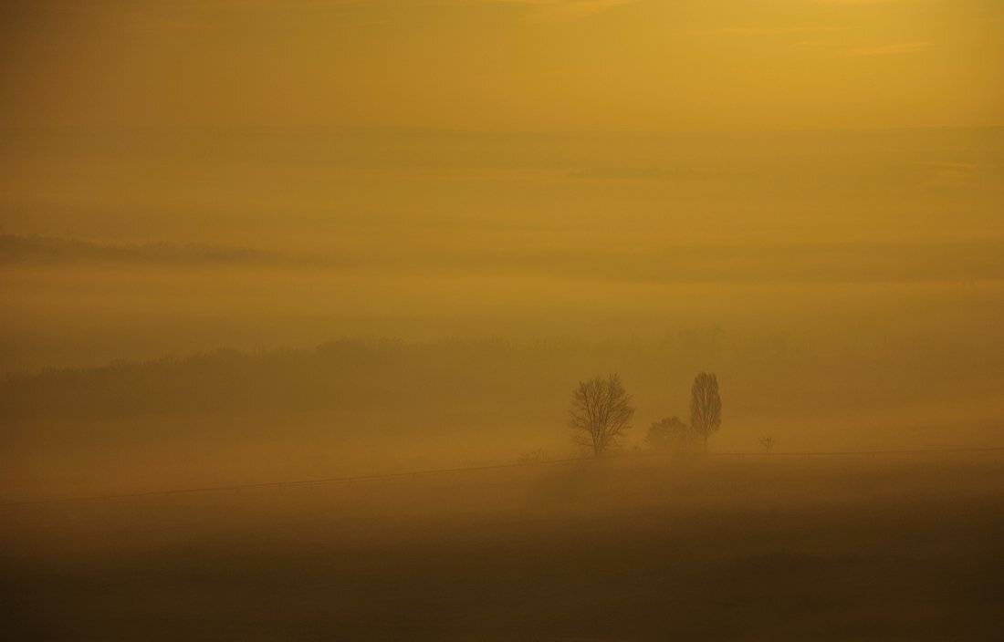 туман,утро, Денис Бодров