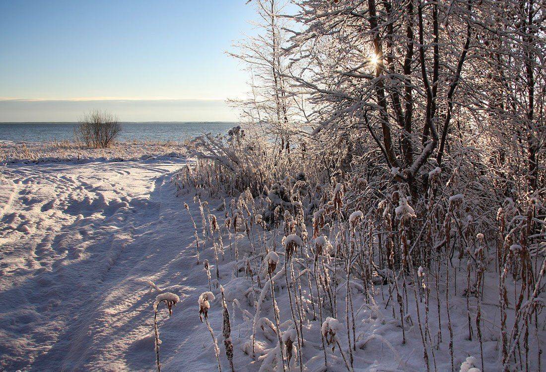 , Александр Коротков