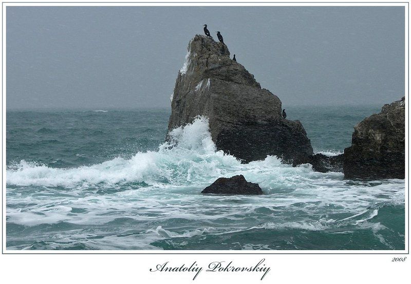 Ждать с моря погоды фото превью