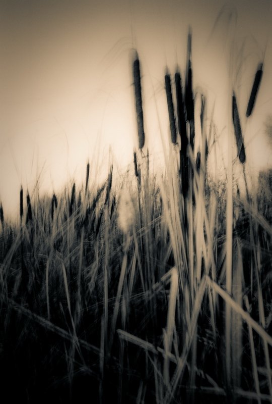 Про ветер... фото превью