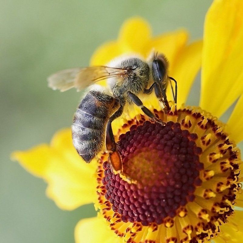 * * * фото превью