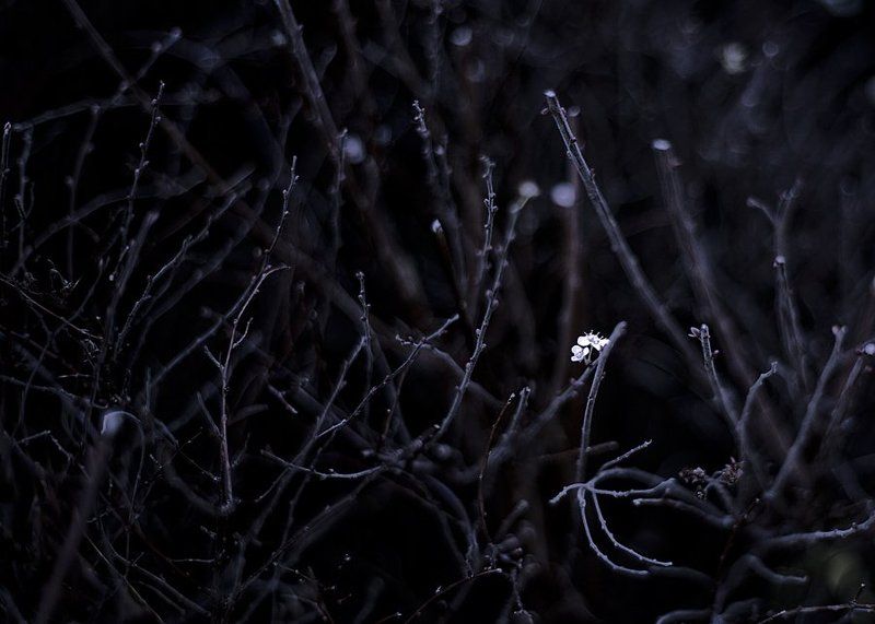 пробуждение фото превью