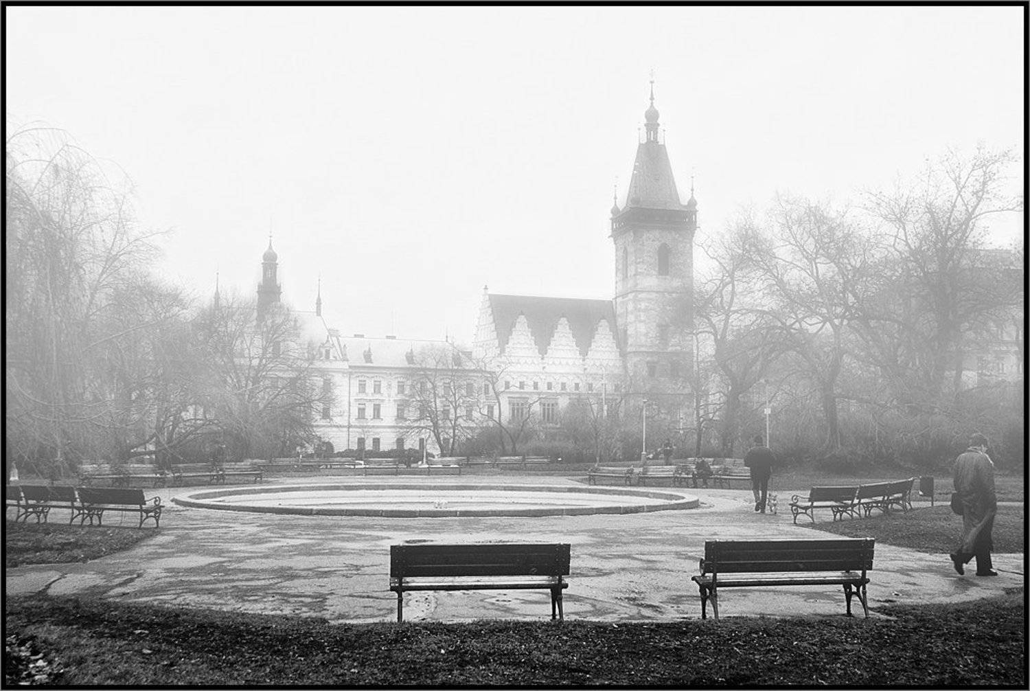 , Лунный Ежик