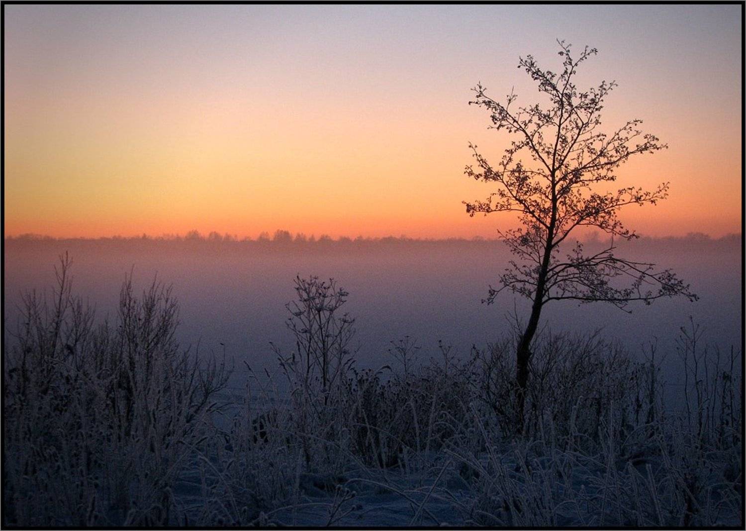 , Лунный Ежик