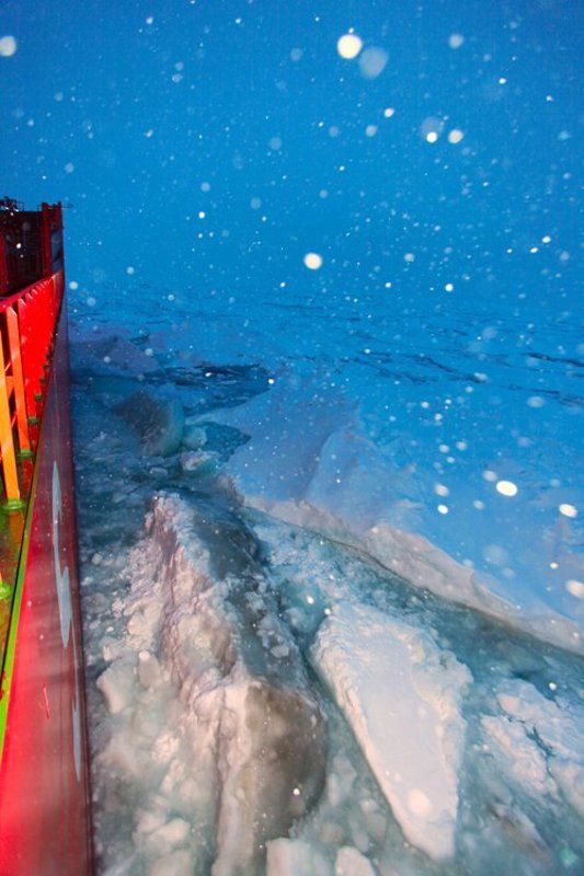 льды, карское море, надежда ЧТО ЛЬДЫ ДАВИТЬ, ЧТО ТАК ИДТИ фото превью