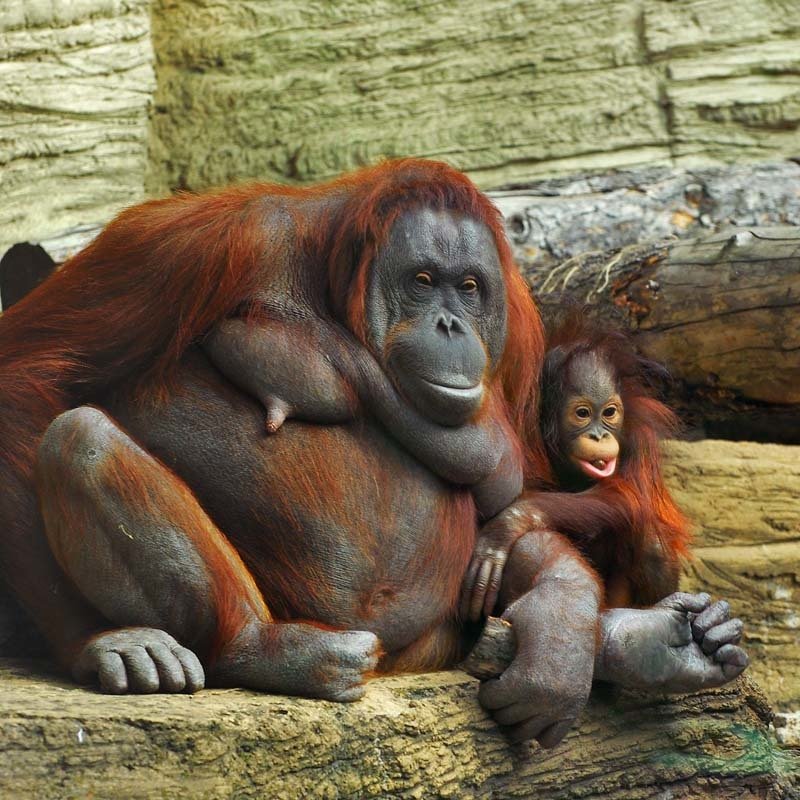 счастливы вместе фото превью