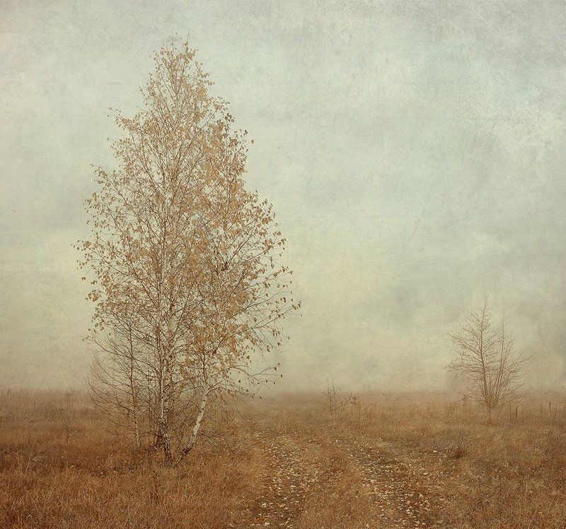 ...зачем тебе моя печаль... фото превью