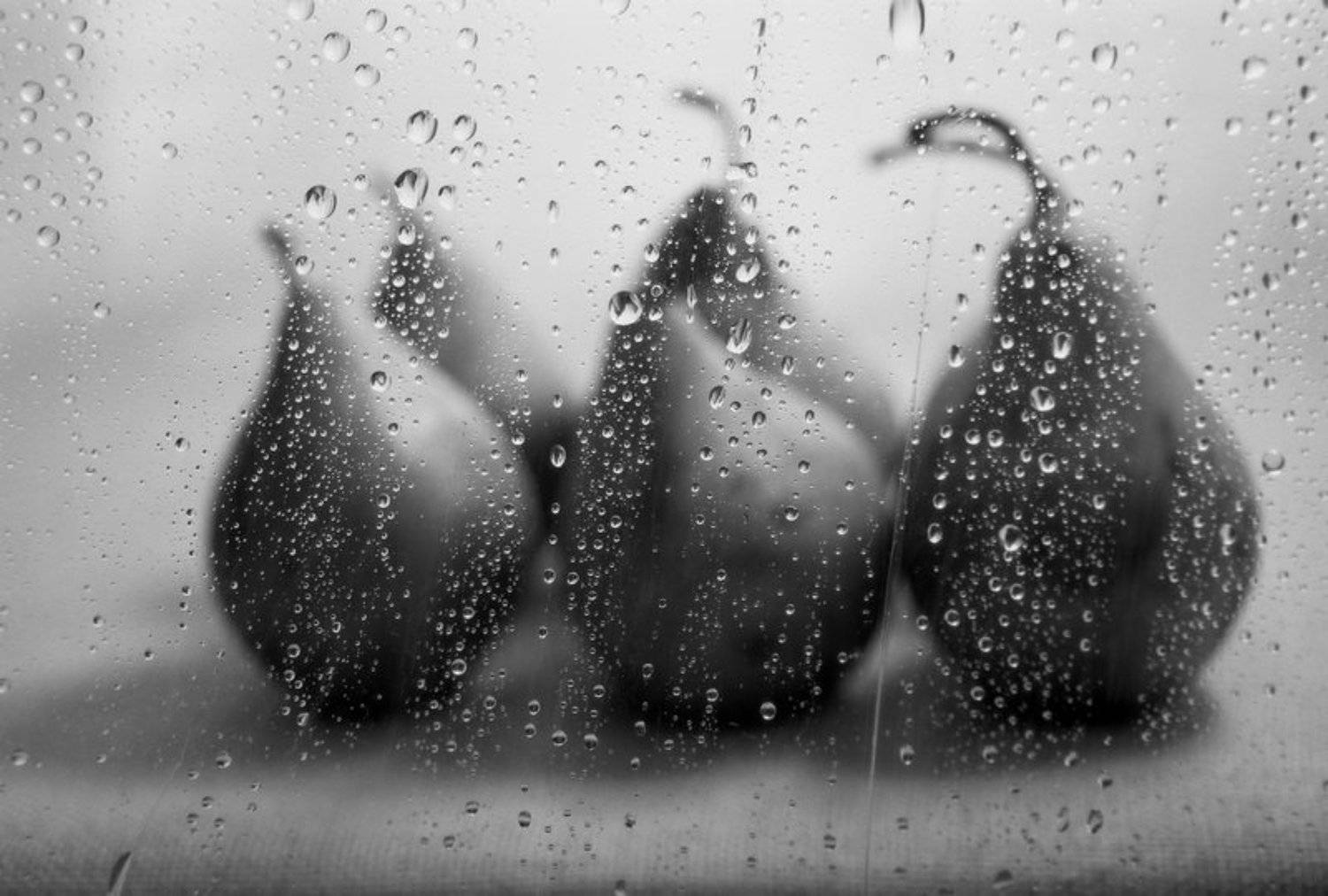 , Игорь Филипенко