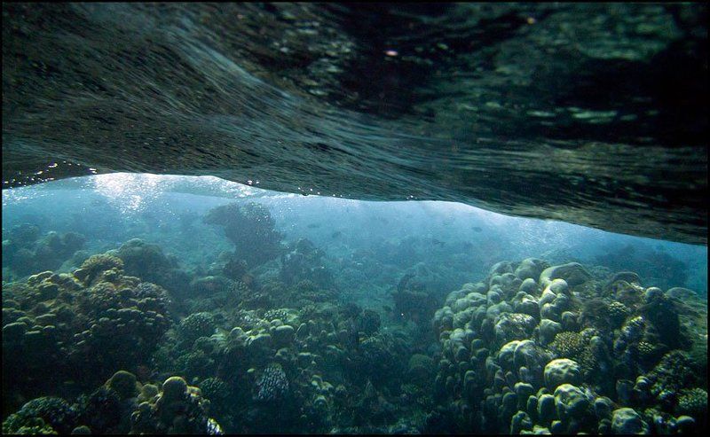 Волна фото превью