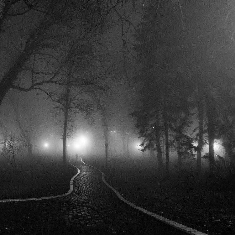 , Владимир Точаненко