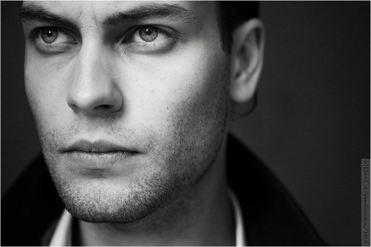 мужчина, портрет, Darn Cat