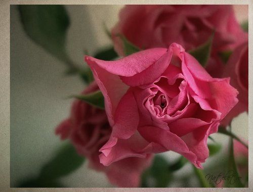 ~*@*~
