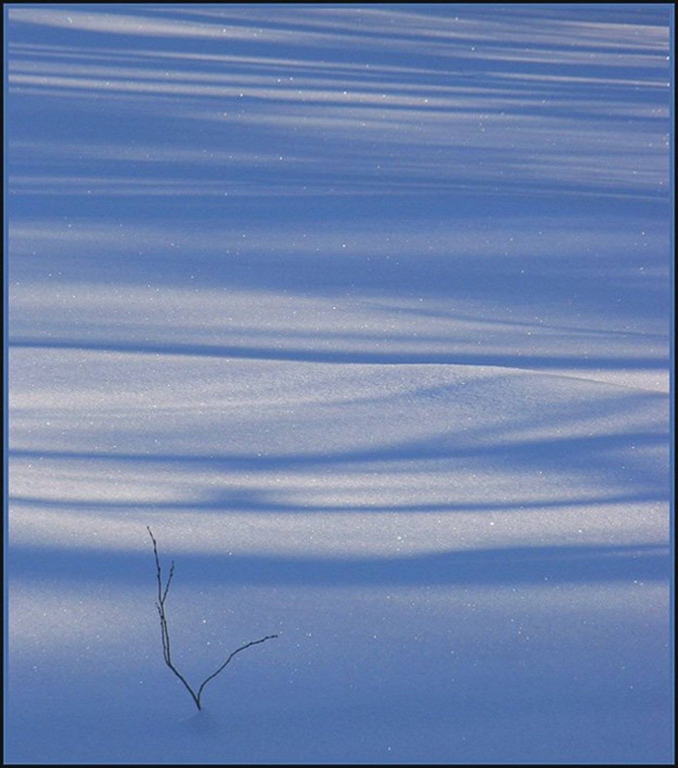 холод, борис ташлицкий