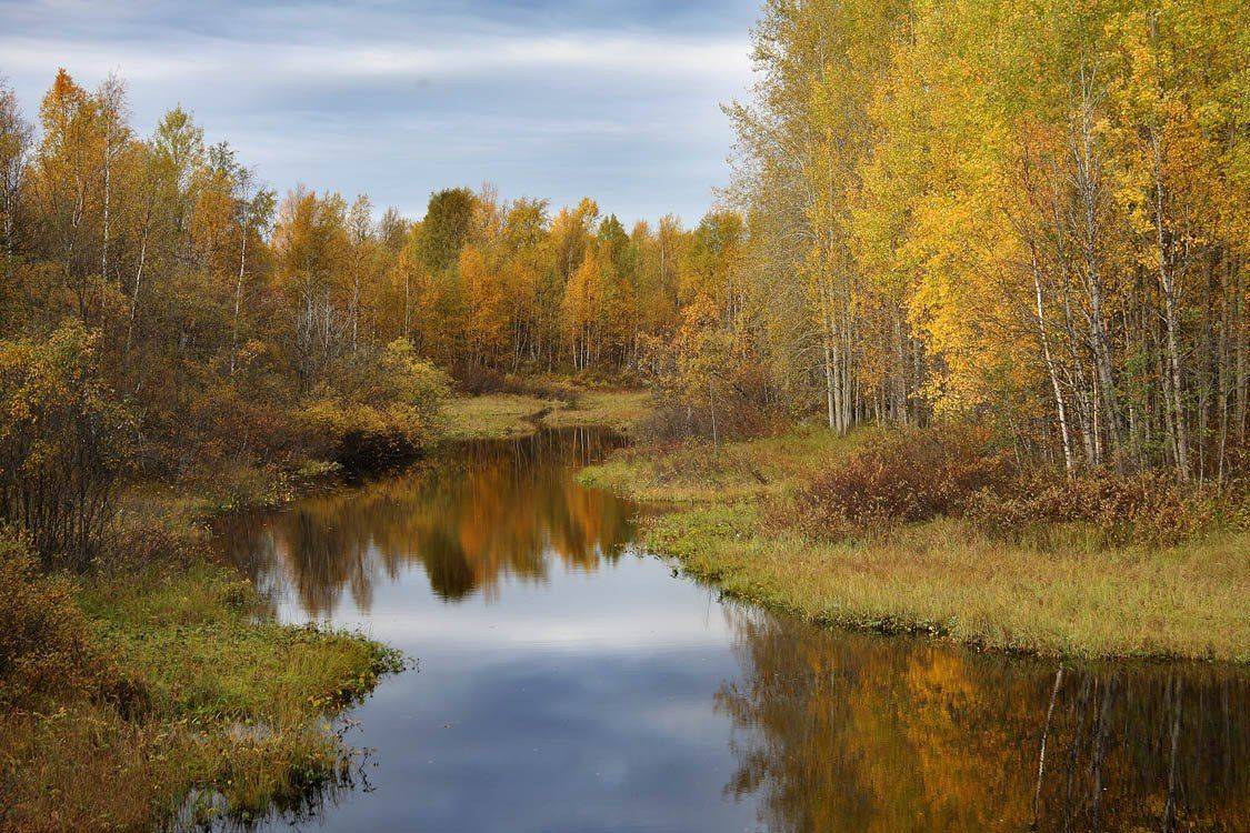 , Александр Коротков