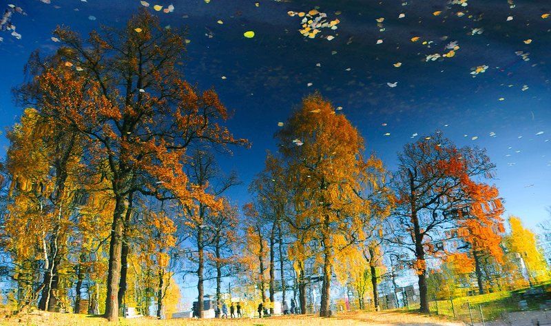 Отражение Осени. фото превью