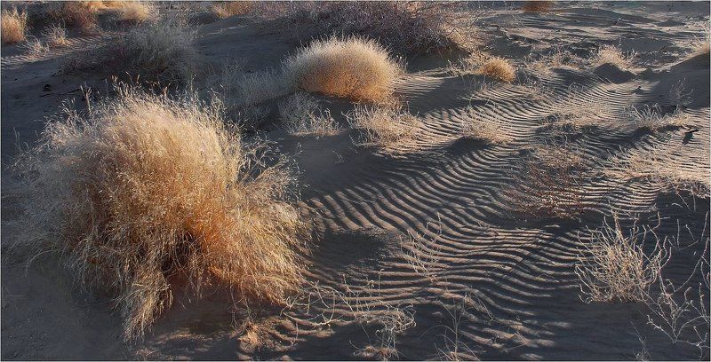 природа *** фото превью