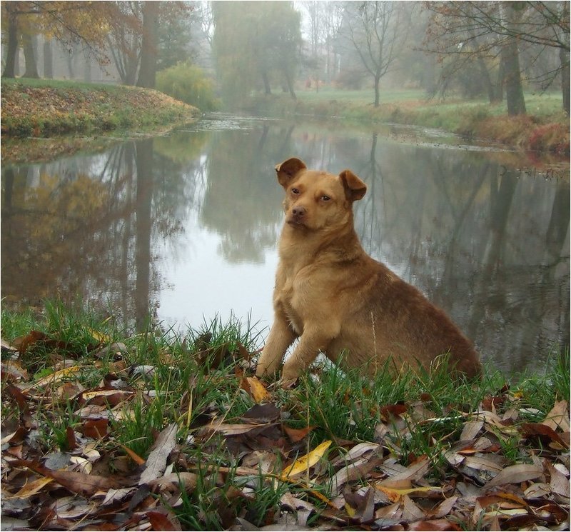 Необычная фотосессия фото превью