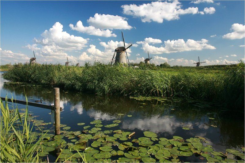 Из мира мельниц  2 фото превью