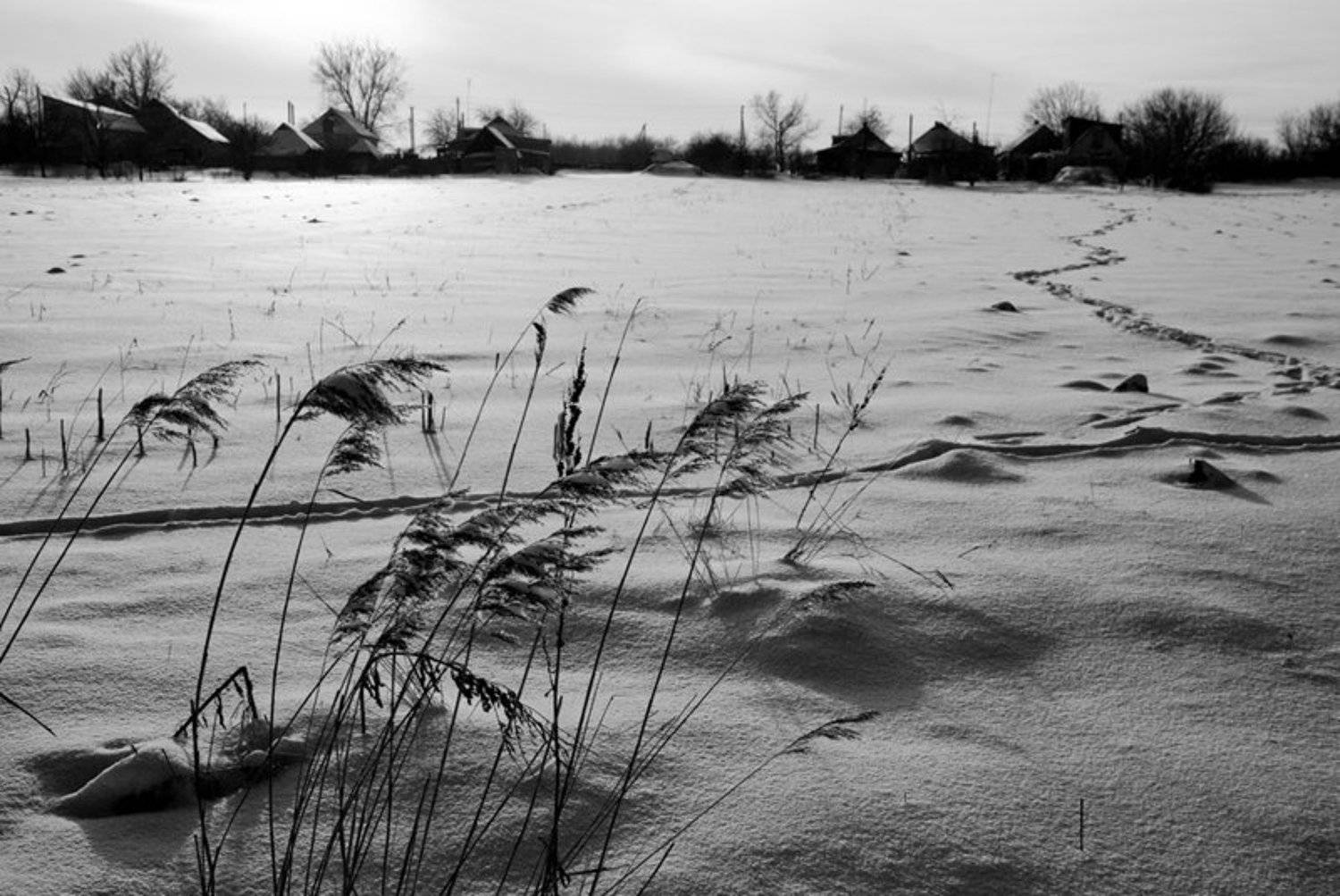 , Павел Лёушкин