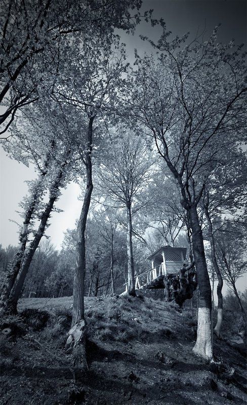 Мистери фото превью