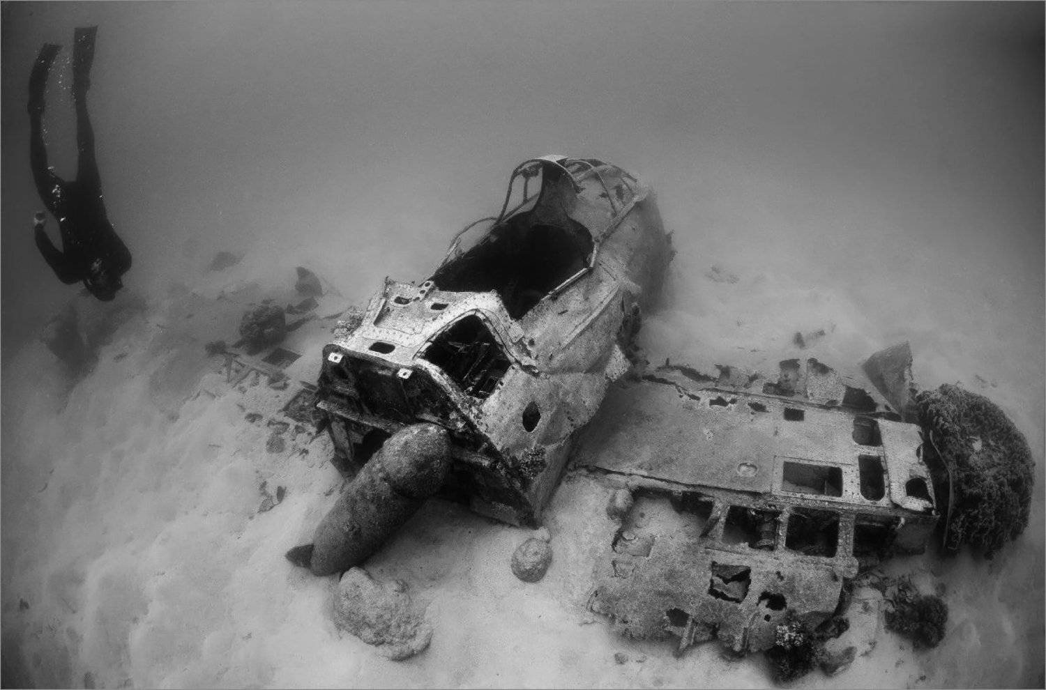 истребитель, Палау, Нетушки