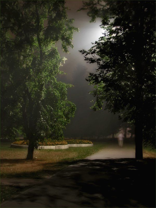 дым, ночь, парк Дым, ночь, парк.. фото превью