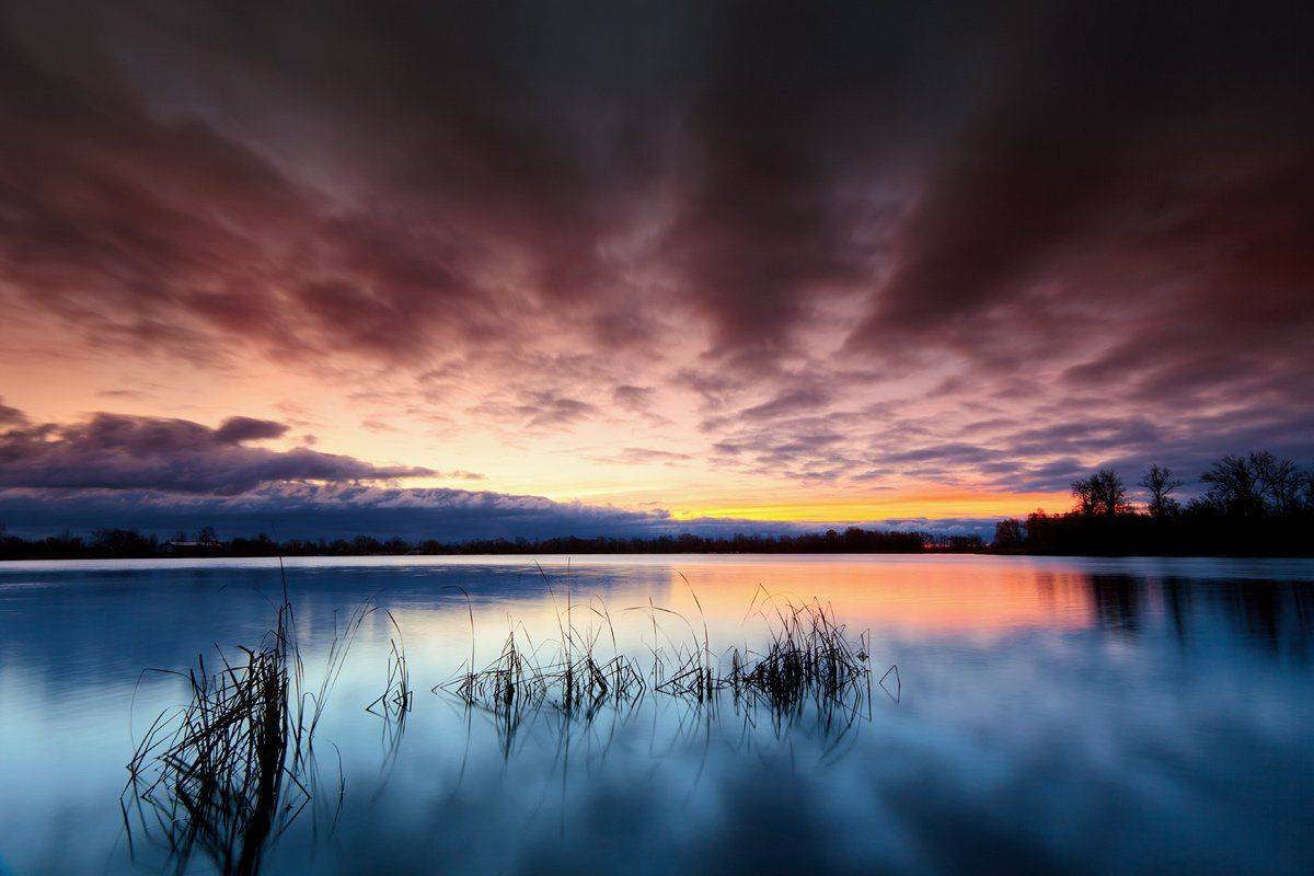 , Роман Николаев