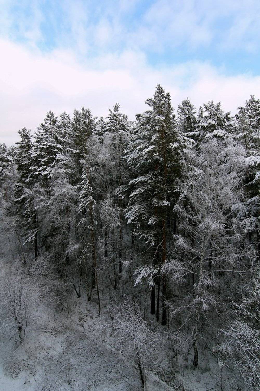 , Олег Кулаков