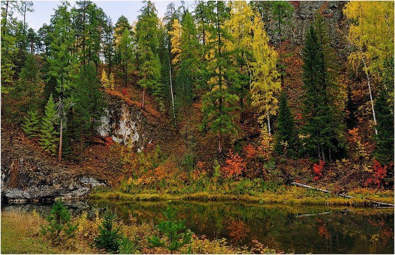 Осенняя зарисовка. фото превью