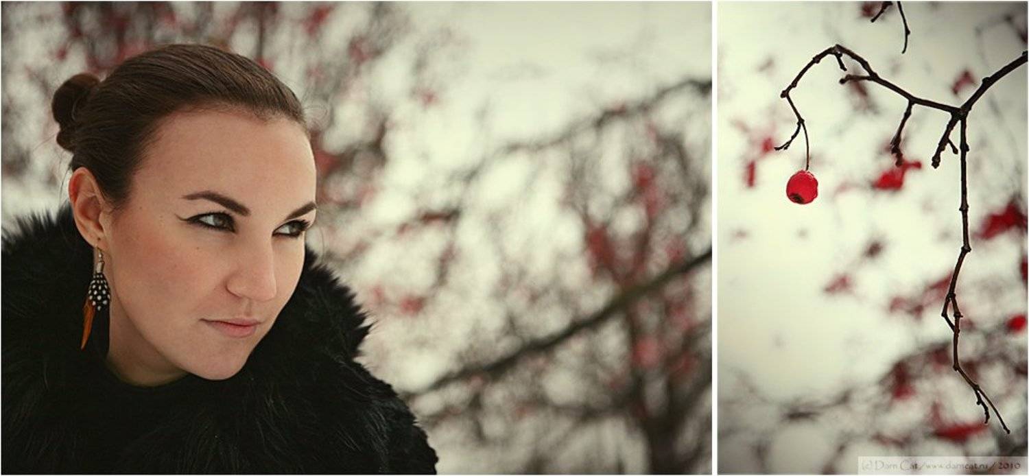 blackbird, черный, дрозд, девушка, птица, ягодка, зима, Darn Cat