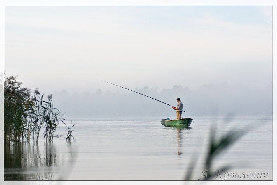 , Ковалевич А.