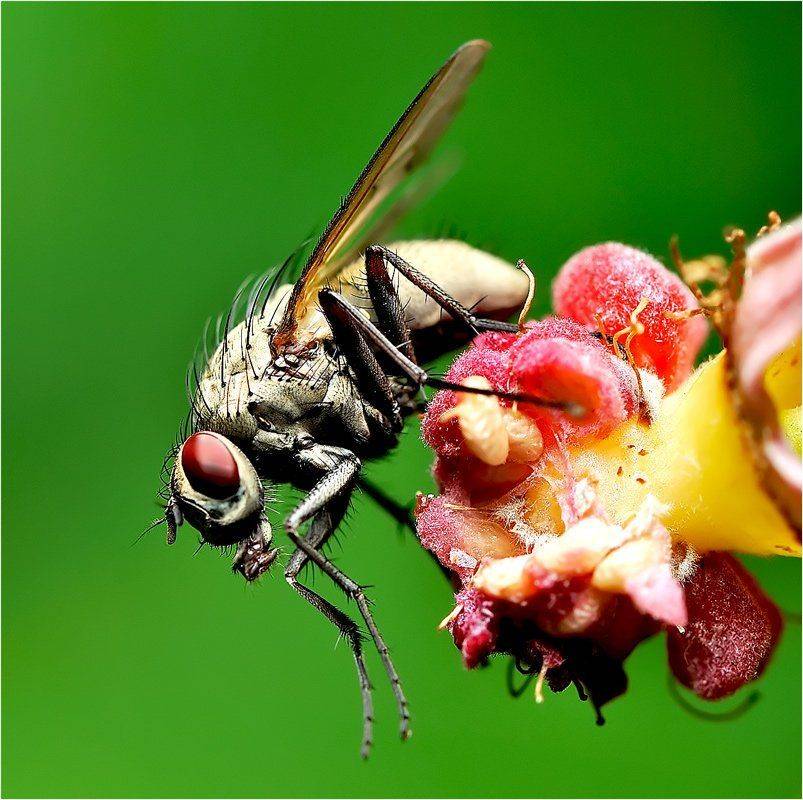 , Евгений Кирилкин.