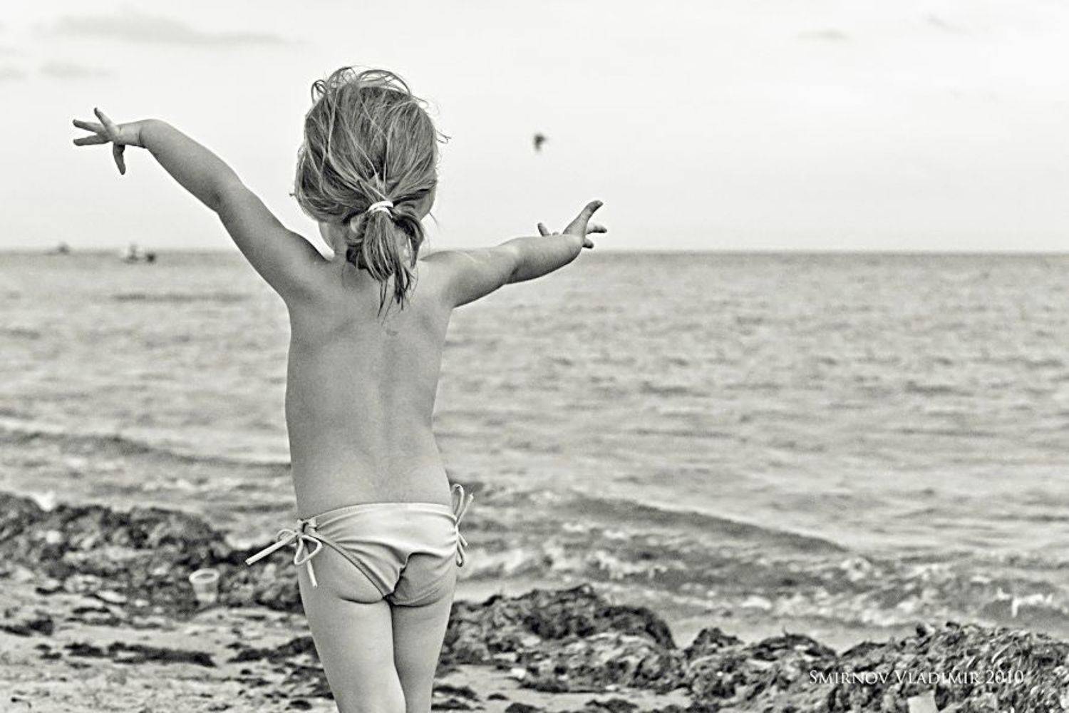 , Владимир Смирнов