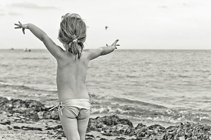 Чайка фото превью