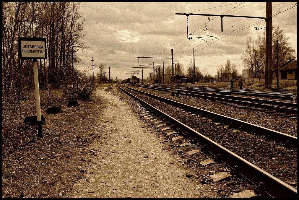 , Лунный Ежик