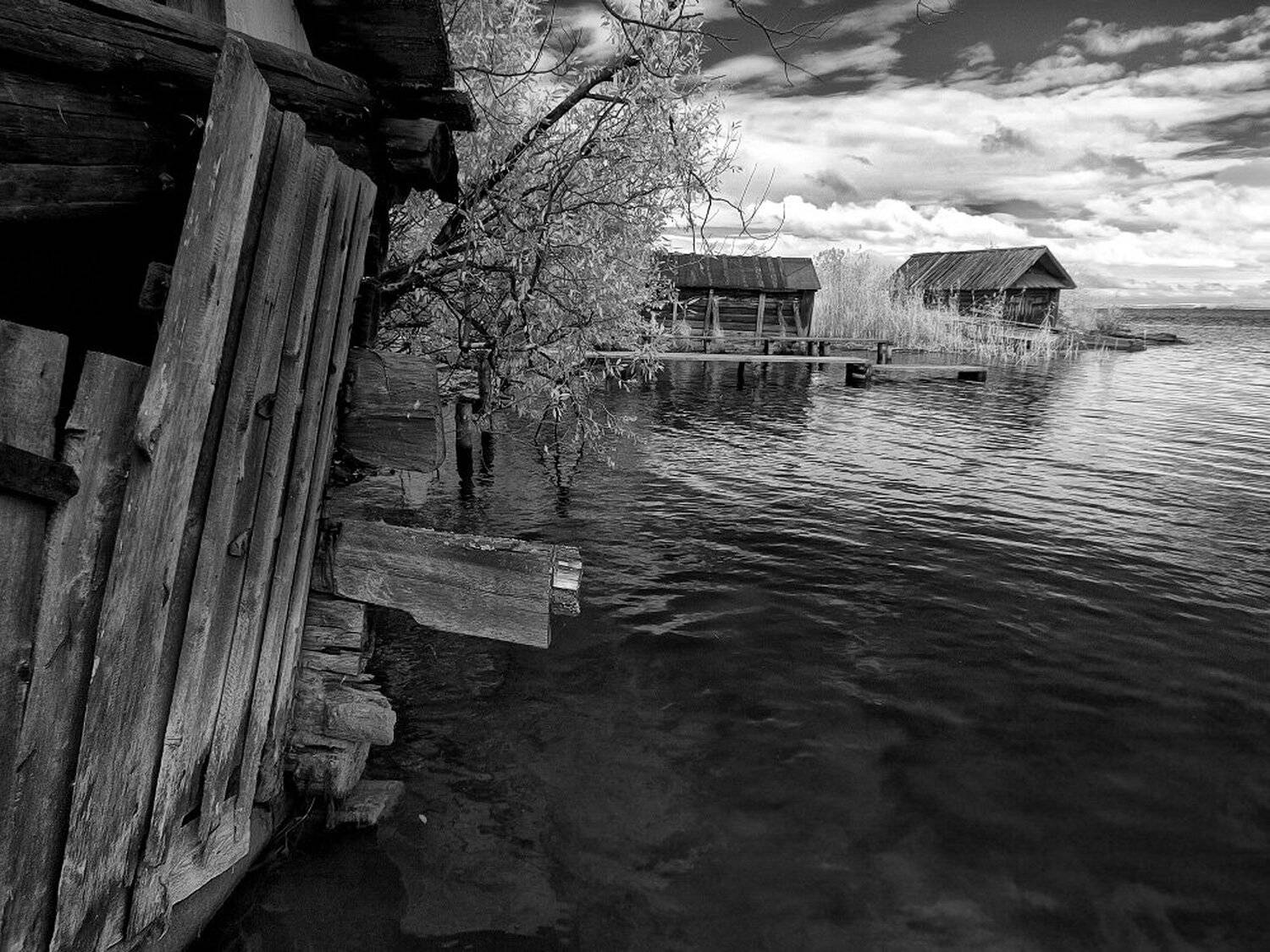 , Максим Евдокимов