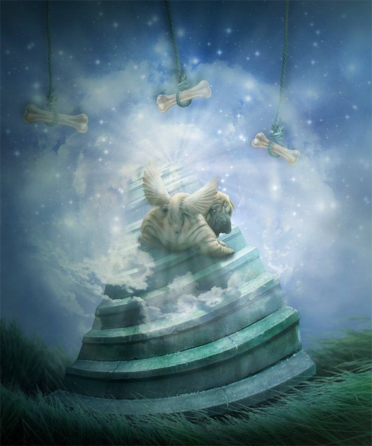 коллаж, фото арт, фотошоп, рай, собака, LLen29