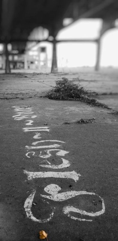 флешZона фото превью