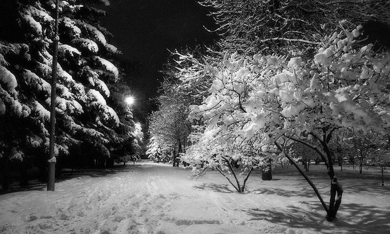 *** фото превью