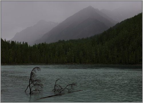 В горах дожди, в горах седое небо