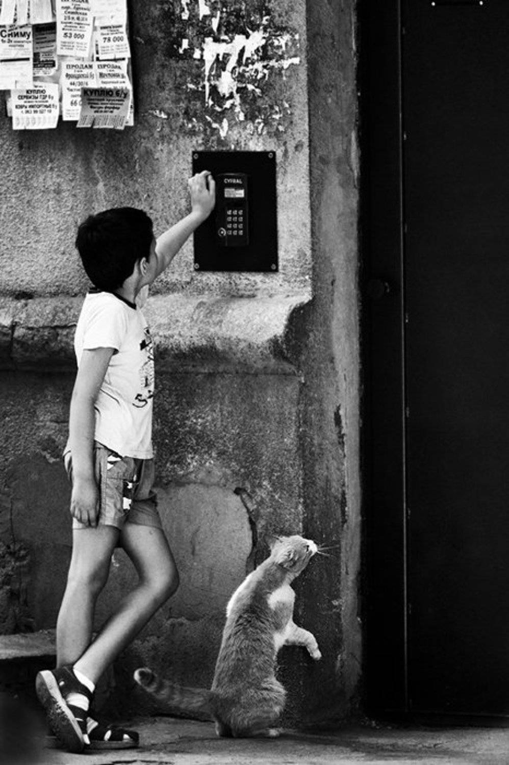 , Максим Юлдашев (maximyuldashev.ru)