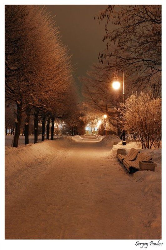 По дороге домой.. фото превью